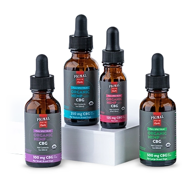 Primal Pets CBG oil for dogs and cats family shot