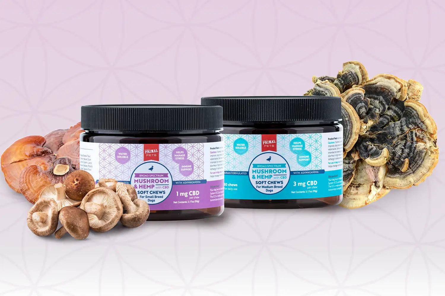 Medicinal mushrooms surrounding soft chews for dogs and cats